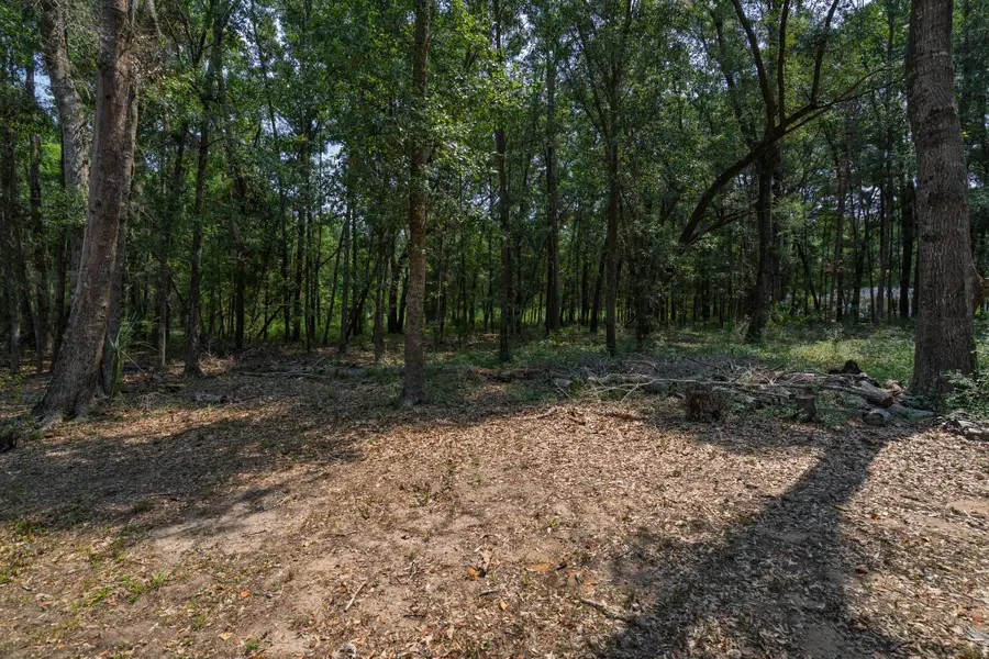 5/5a Shell House Road, Edisto Island, SC 29438 - #3