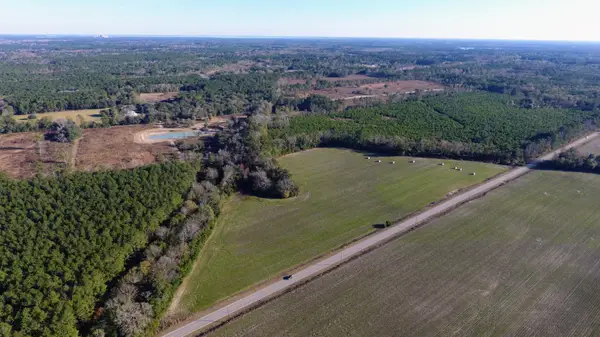0 Rocks Pond Road #Lot N, Eutawville, SC 29048