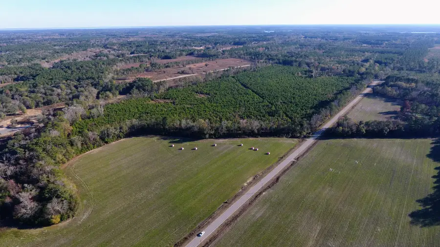 0 Rocks Pond Road #Lot N, Eutawville, SC 29048 - #2