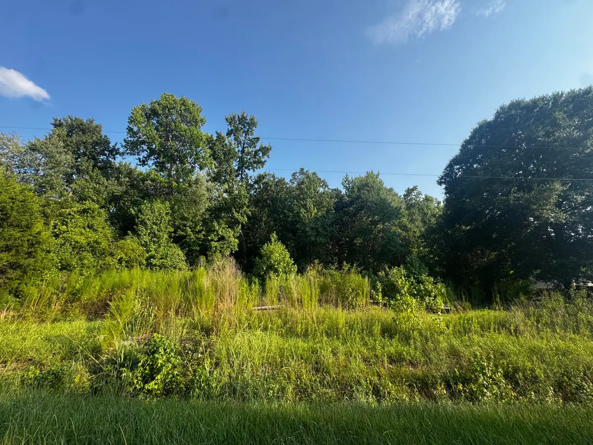 31 Gaines Circle, Cottageville, SC 29435 - #1