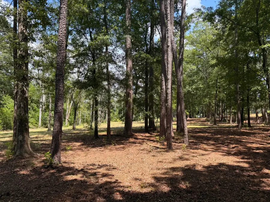 0 Lincoln Avenue, Summerville, SC 29485 - #2