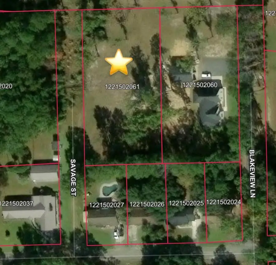 612 Savage Street, Moncks Corner, SC 29461 - #2