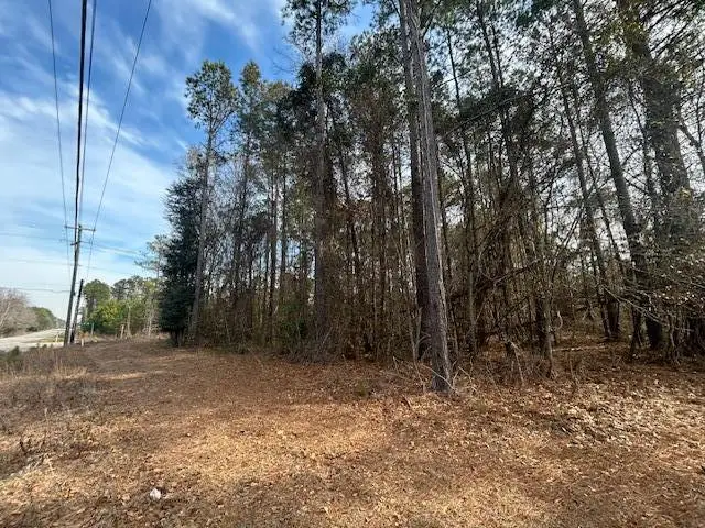 4020 Jefferies Highway, Walterboro, SC 29488 - #1