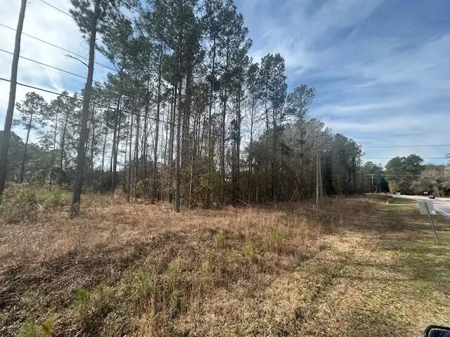 4020 Jefferies Highway, Walterboro, SC 29488 - #2