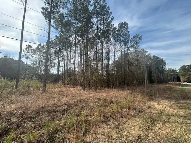 4020 Jefferies Highway, Walterboro, SC 29488 - #3