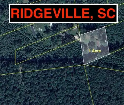 217 Joe Felder Road, Ridgeville, SC 29472 - #1