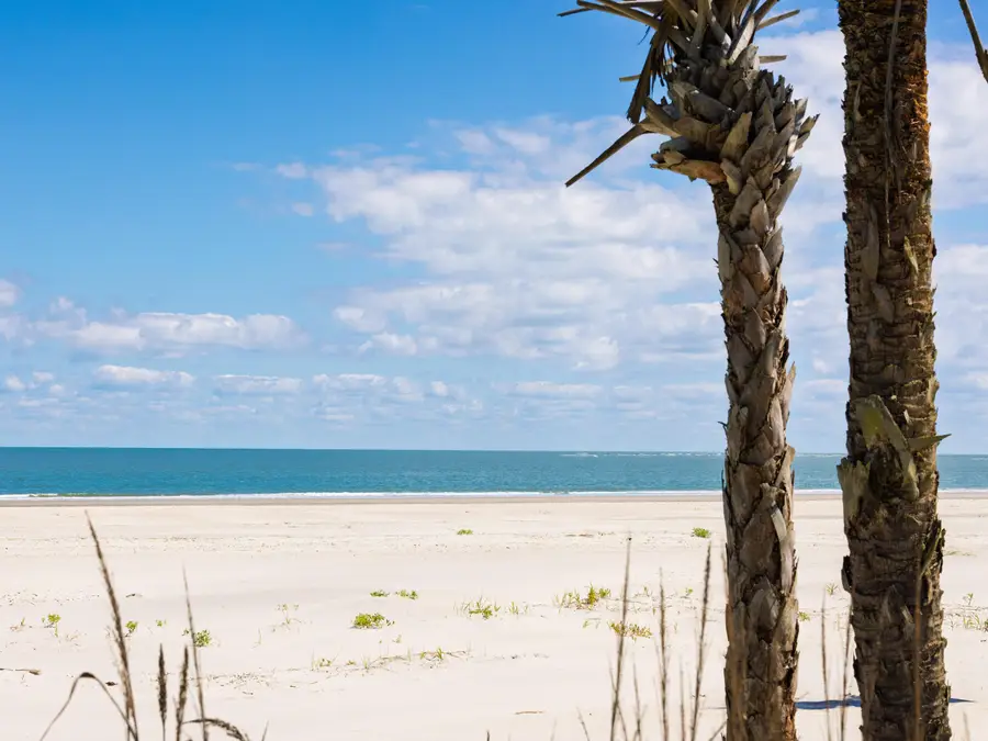 355 Pelican Flight Drive #Lot 29, Dewees Island, SC 29451 - #2