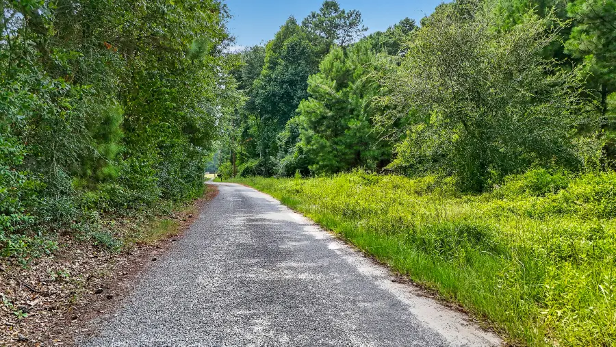 0 Legare Drive, Moncks Corner, SC 29461 - #2