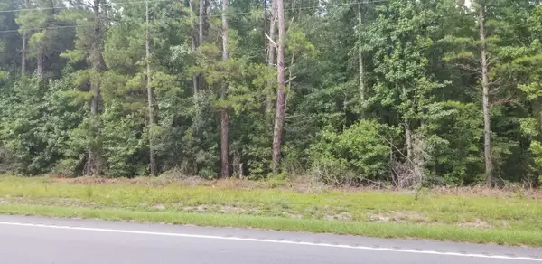 0 Augusta Highway, Smoaks, SC 29481