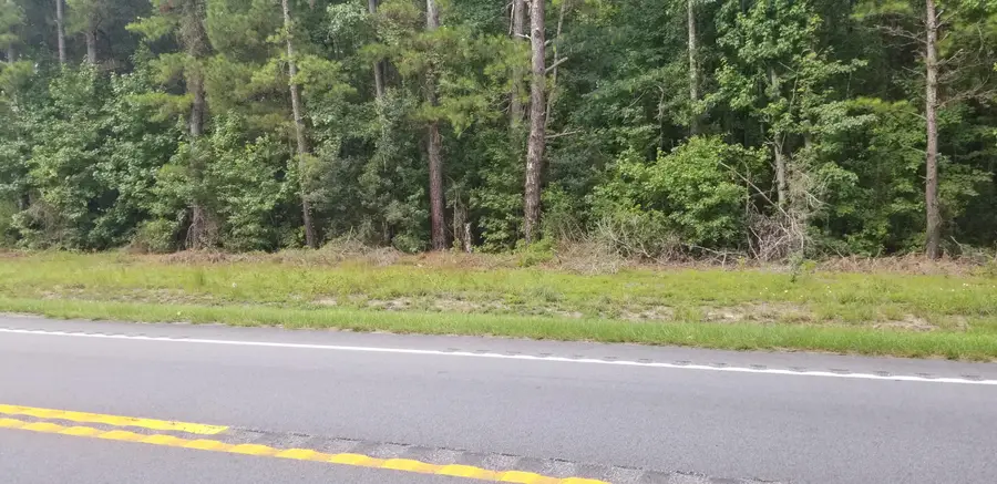 0 Augusta Highway, Smoaks, SC 29481 - #2
