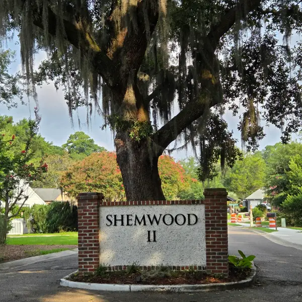 1005 Jack Snipe Lane, Mount Pleasant, SC 29464
