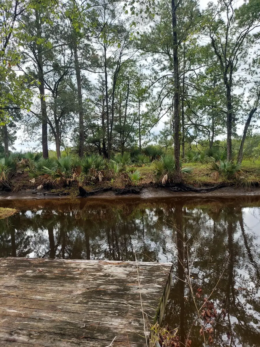 4083 Prices Bridge Lane, Walterboro, SC 29488 - #2