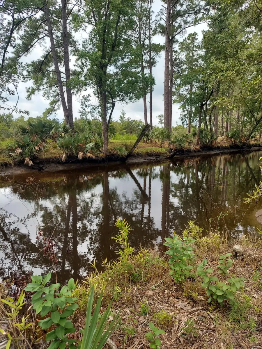 4083 Prices Bridge Lane, Walterboro, SC 29488 - #3