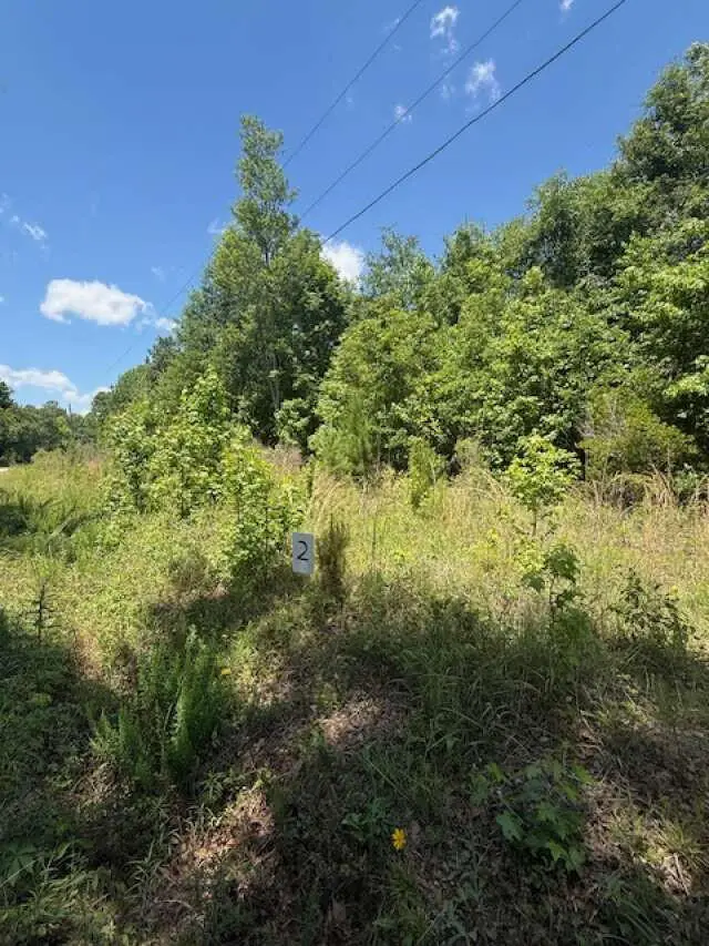 0 Park Circle, Branchville, SC 29432 - #1