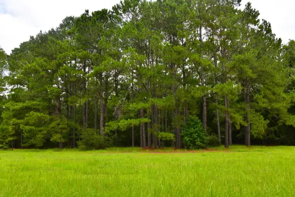 0 Palmetto Avenue, Saint Stephen, SC 29479