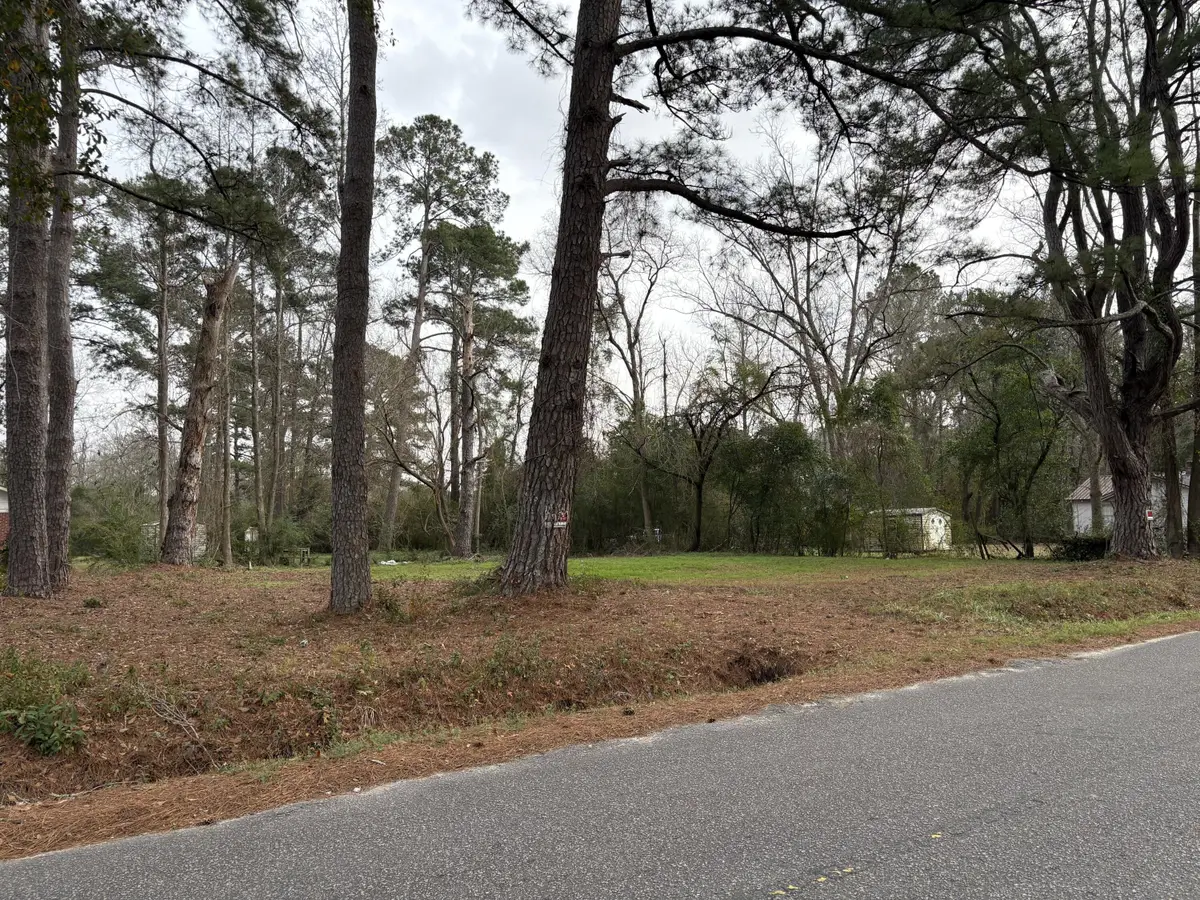 410 Poplar Street, Walterboro, SC 29488 - #1