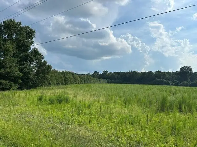 Lot 5 7 Mile Road, Harleyville, SC 29448 - #1