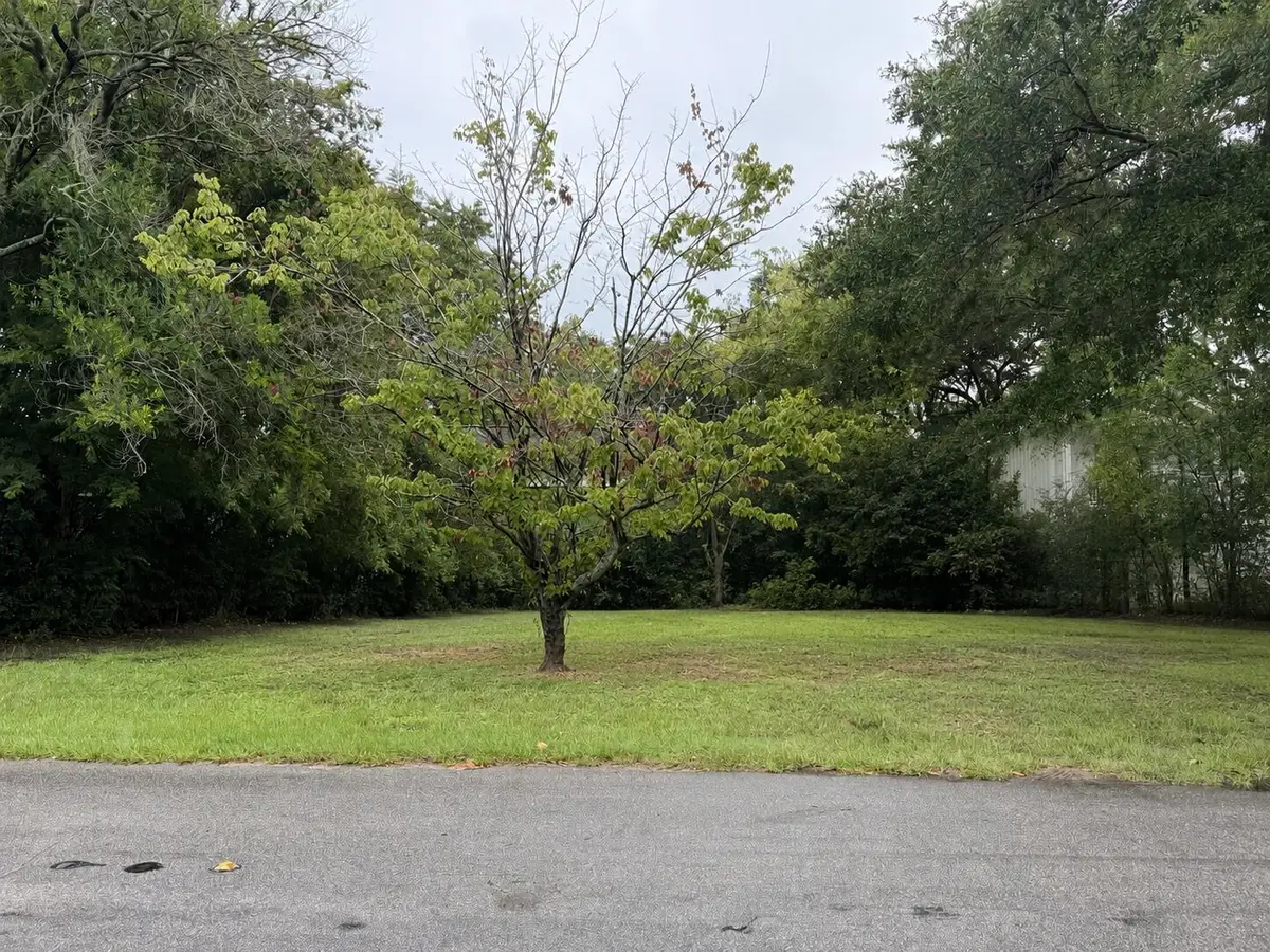 1490 Indian Street, Mount Pleasant, SC 29464 - #1
