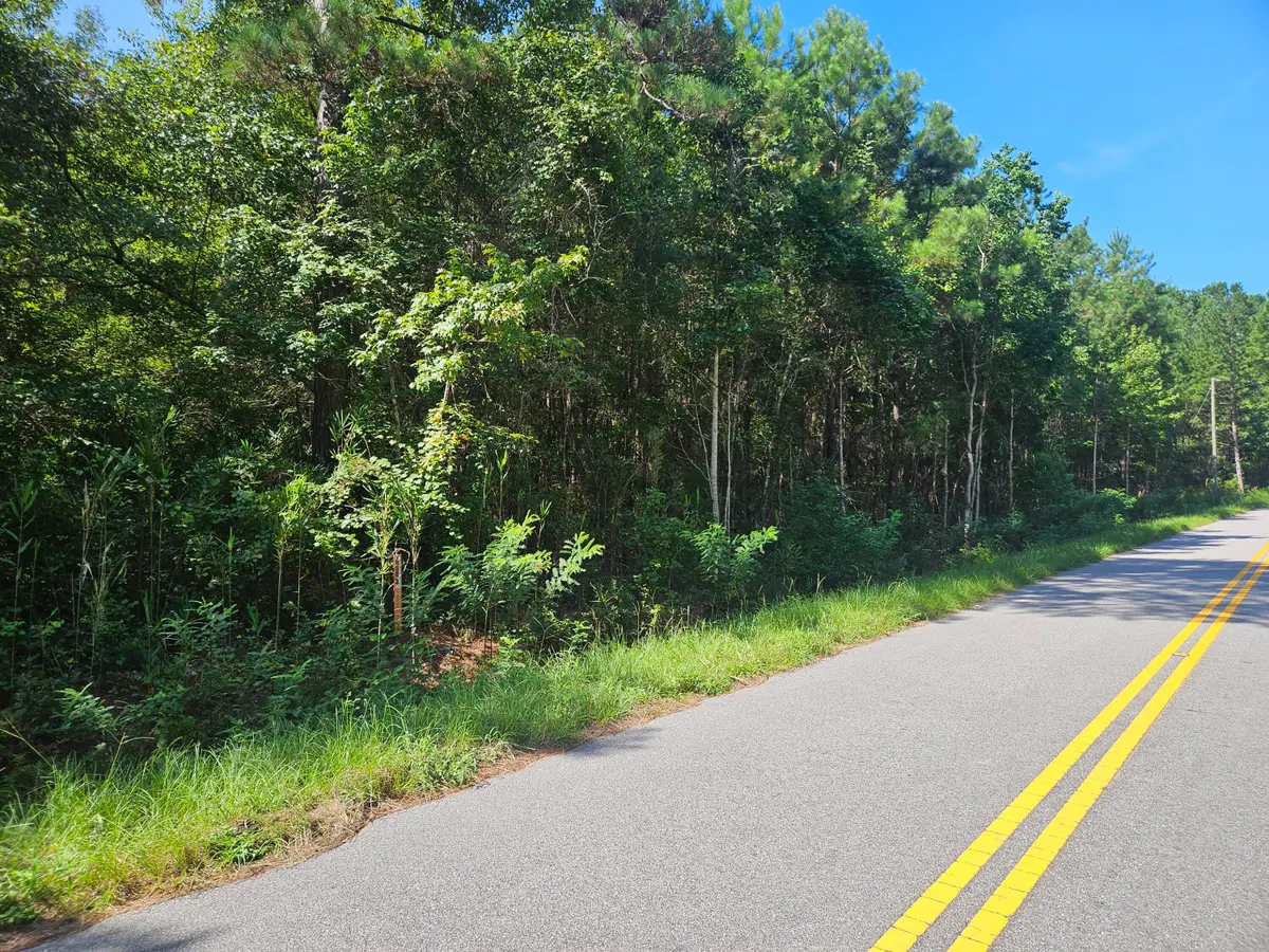 0 Porcher School Road, Awendaw, SC 29429 - #1