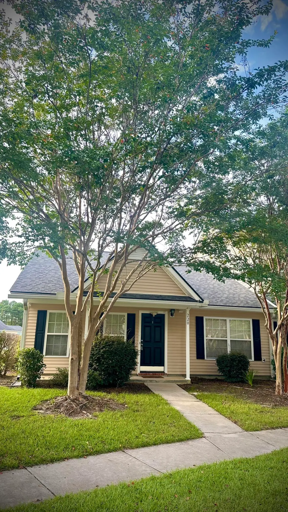 220 Jackson Street, Goose Creek, SC 29445 - #1