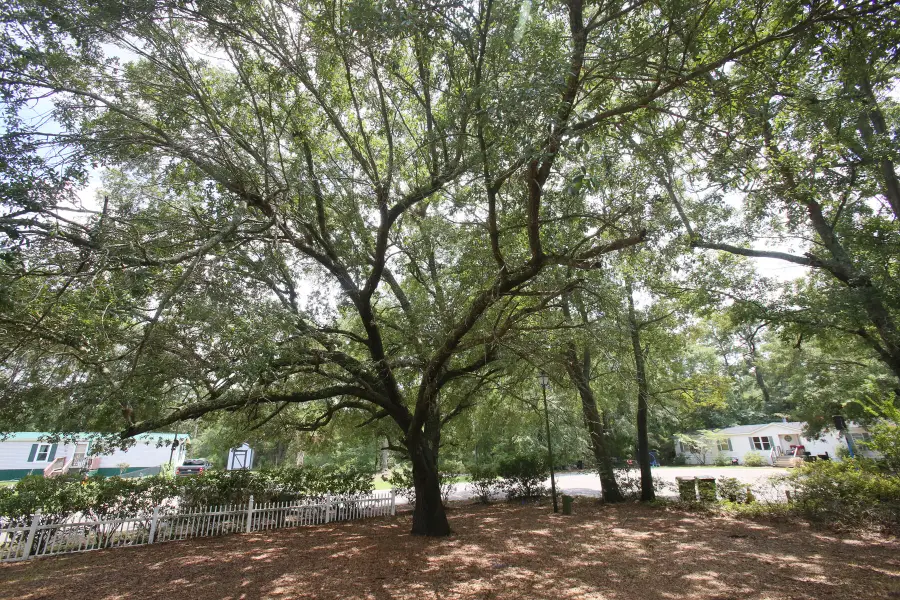 206 W Poplar Branch Drive, Moncks Corner, SC 29461 - #3