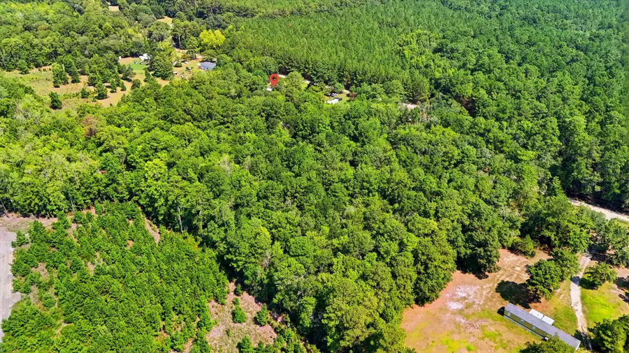 315 Tundra Lane, Ridgeville, SC 29472 - #3