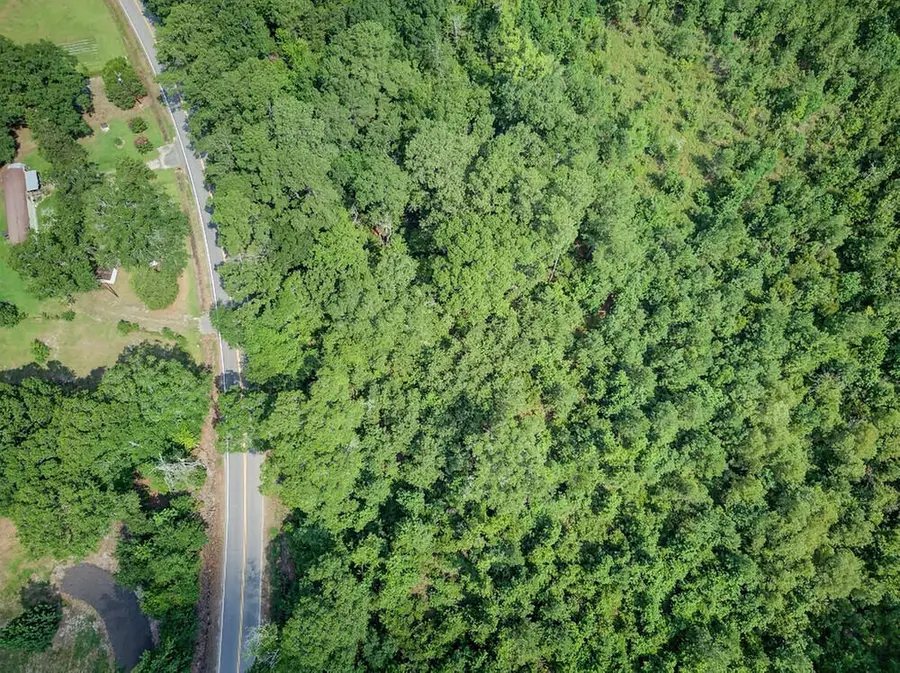 00 First Texas Road, Saint George, SC 29477 - #2