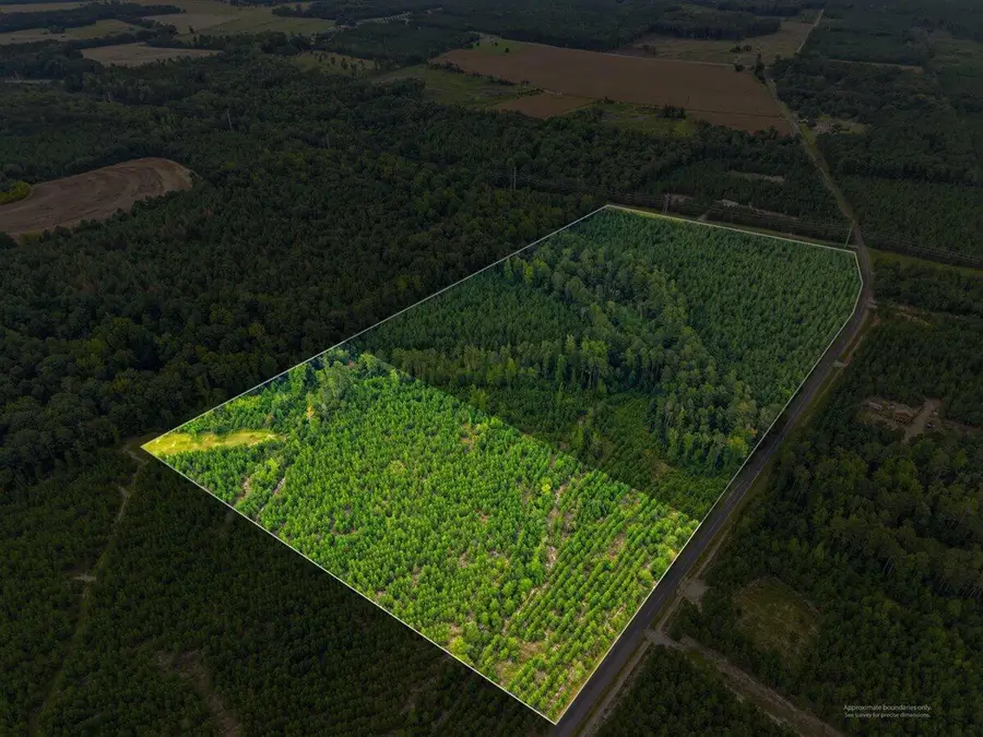 Lot 1 Catalina Boulevard, Swansea, SC 29160 - #2