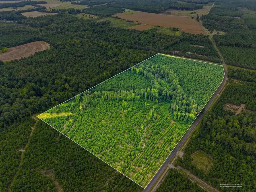 Lot 1 Catalina Boulevard, Swansea, SC 29160 - #3