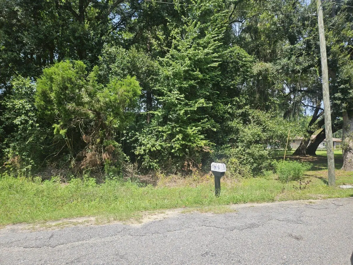 123 Langdoc Street, Moncks Corner, SC 29461 - #1