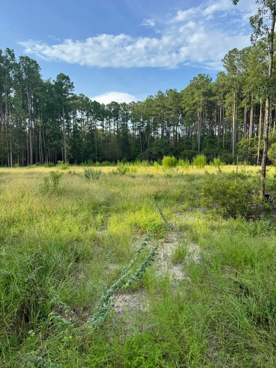 000 Saturn, Walterboro, SC 29488 - #3