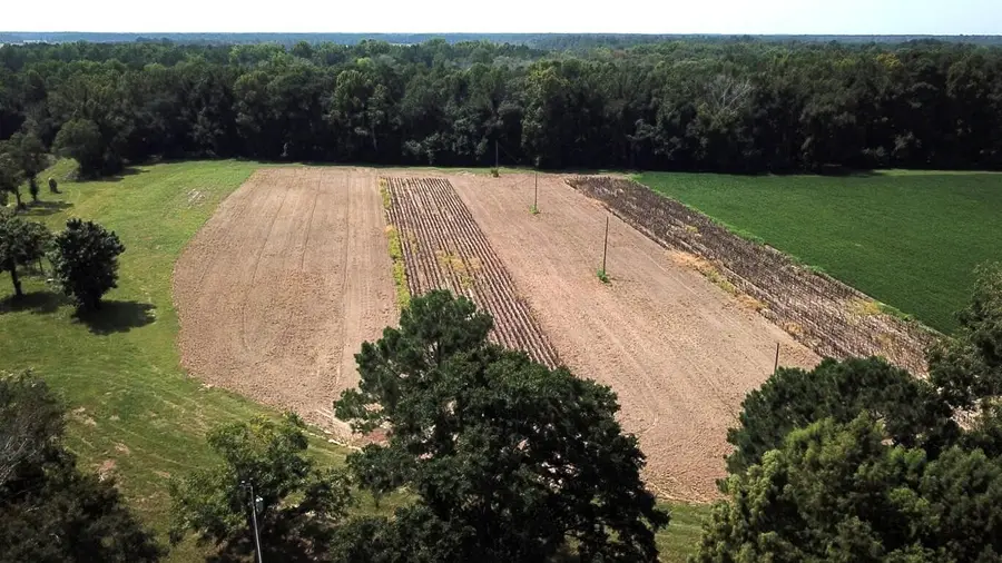 00 4 Holes Road, Orangeburg, SC 29115 - #3