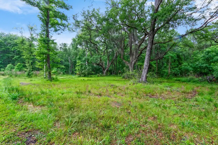 7855 Mary Seabrook Road, Edisto Island, SC 29438 - #3