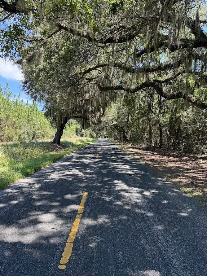 7817 Little Britton Road (lot A-4), Meggett, SC 29449 - #2