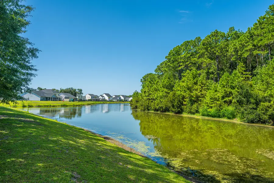 7067 Pumpkinseed Drive, Johns Island, SC 29455 - #2