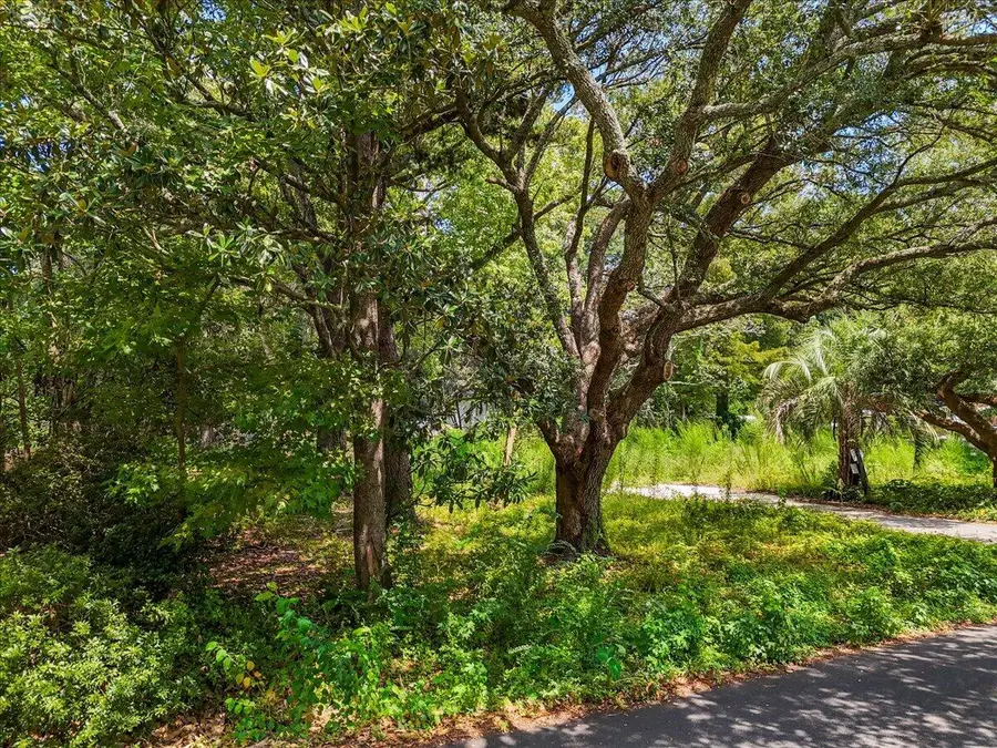 0 Lindberg Street #Lot 10a, Charleston, SC 29412 - #3