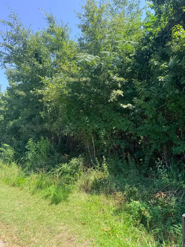 00 Society Road, McClellanville, SC 29458