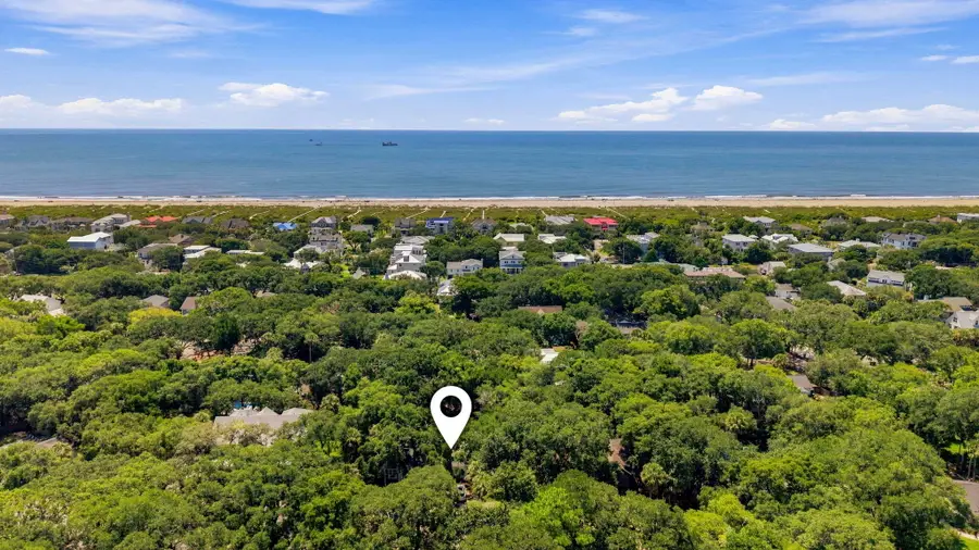 256 Forest Trail, Isle Of Palms, SC 29451 - #3