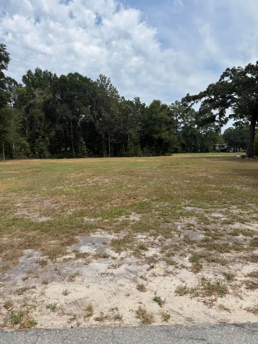 621 Chaplin Street, Walterboro, SC 29488 - #2