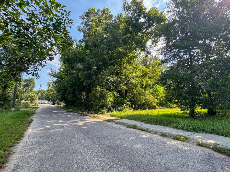 0 Blanchard Street, Walterboro, SC 29488 - #2