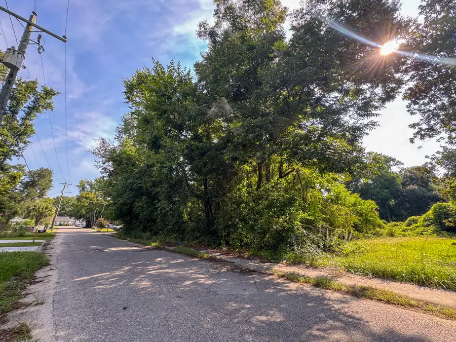 0 Blanchard Street, Walterboro, SC 29488 - #3