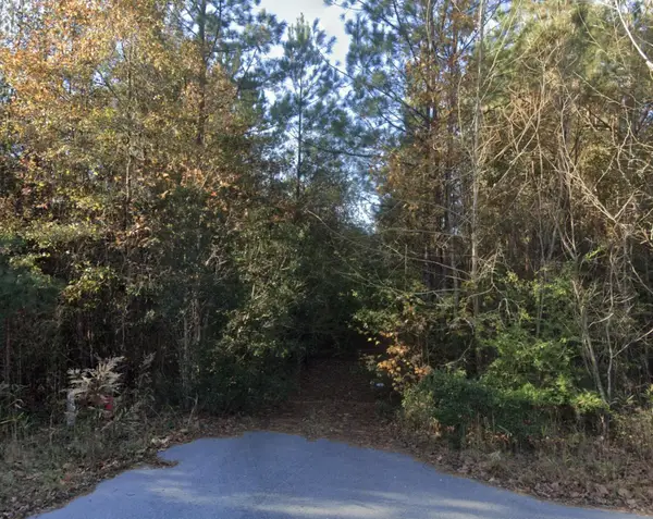 00 Oliver Street, Hampton, SC 29924