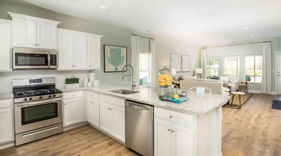 144 Beamon Loop, Summerville, SC 29486 - #3