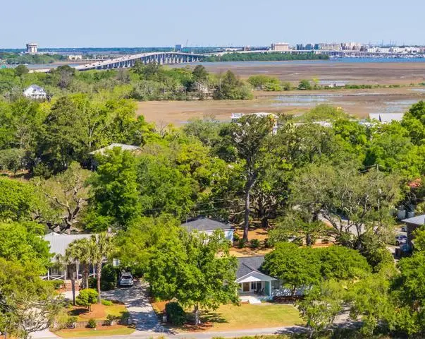 1259 Harbor View Lane, Charleston, SC 29412 - #1