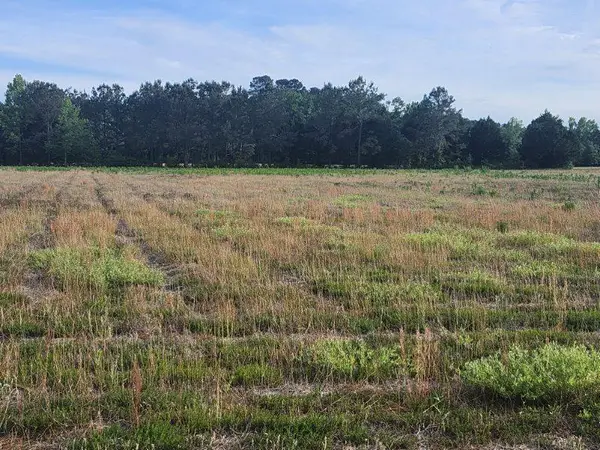 0 Broxton Bridge Road, Bamberg, SC 29003