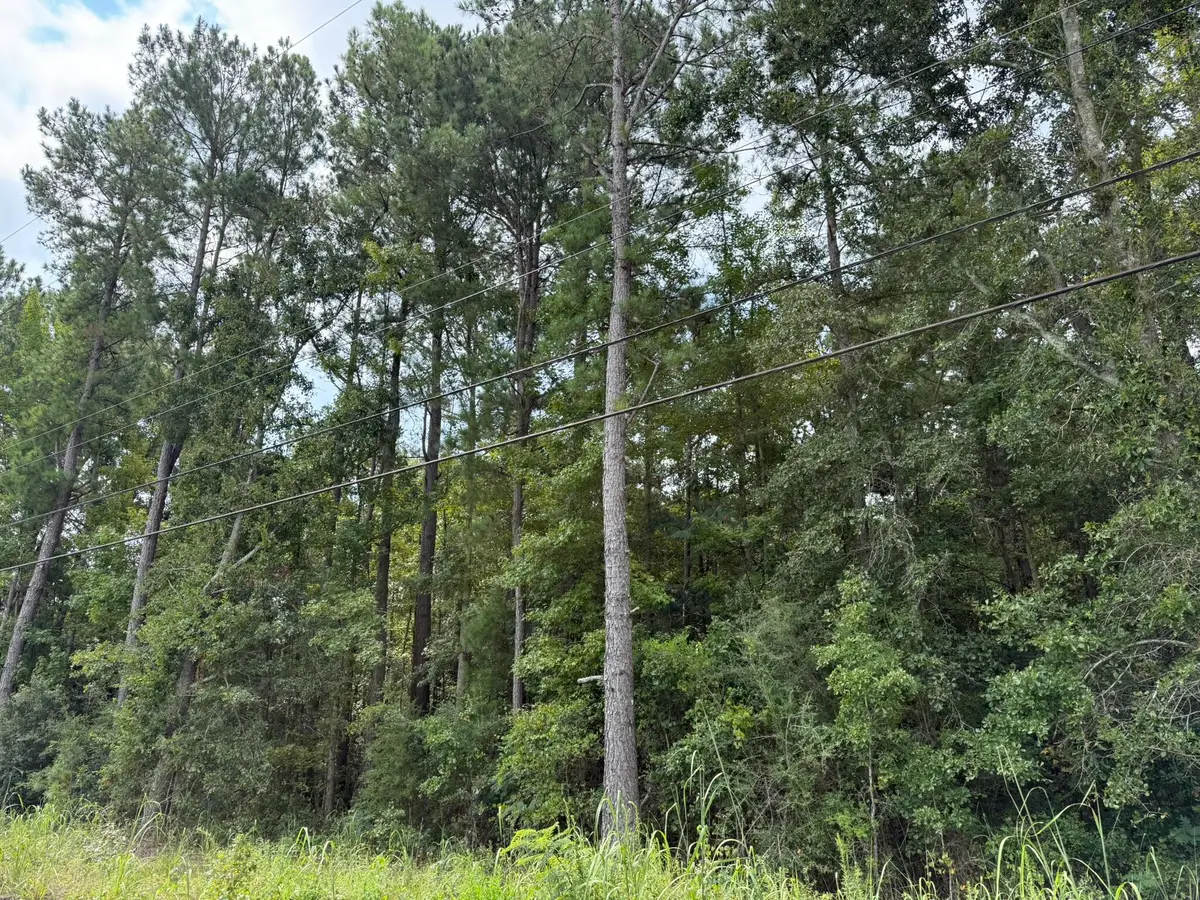 0 Charleston Highway, Orangeburg, SC 29115 - #1