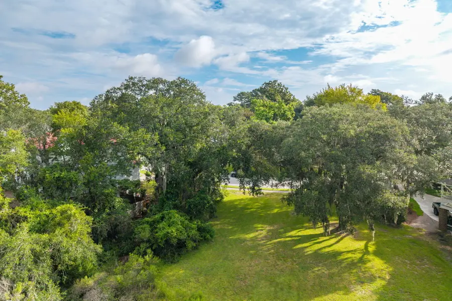 217 Marsh Oaks Drive, Charleston, SC 29407 - #3