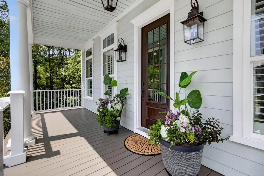 2378 Brackish Drive, Mount Pleasant, SC 29466 - #3