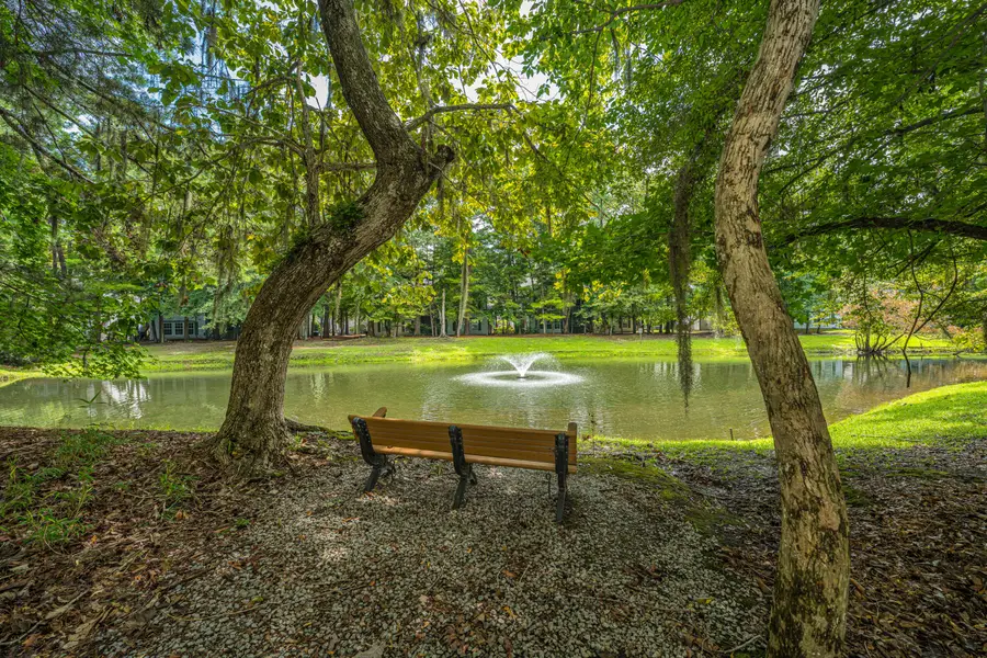 403 S Elgin Court, Charleston, SC 29414 - #2