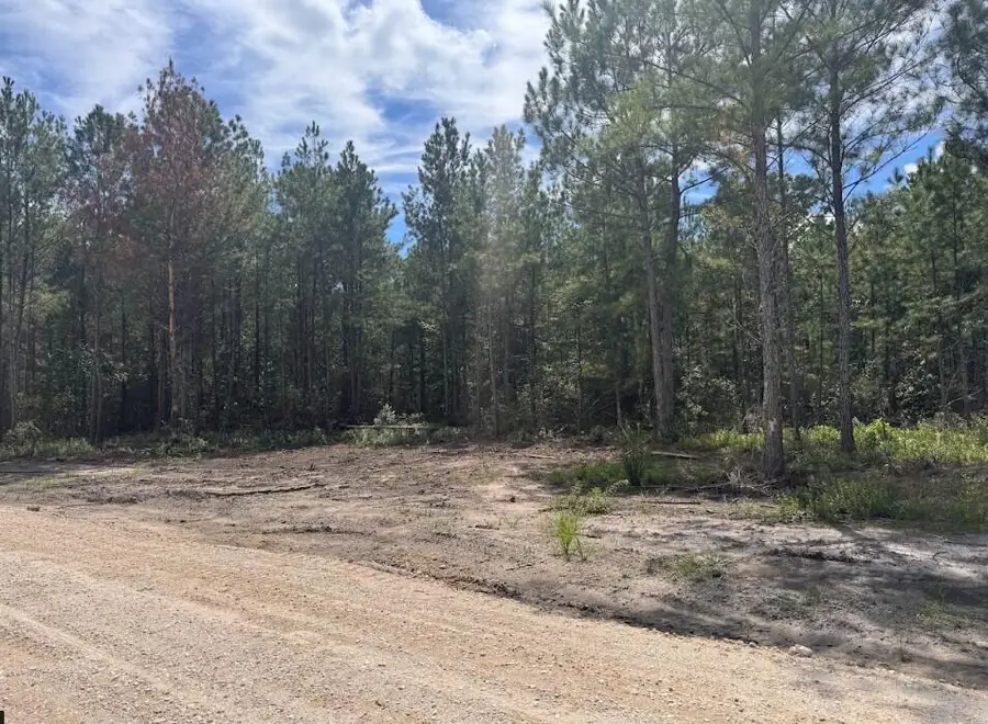 0 Walker Road #Lot 2, Ridgeville, SC 29472 - #3